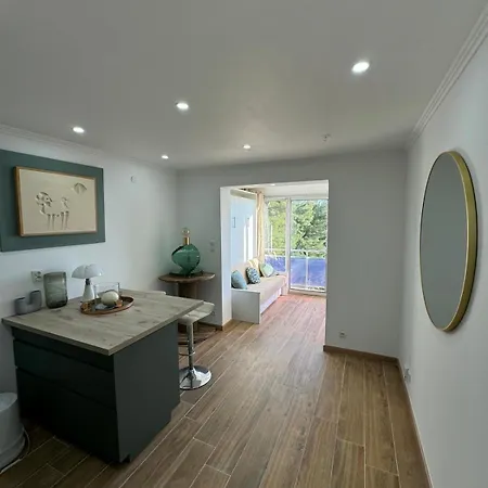 A Tres Beau Vue 28m2 Climatise Horizons Marins * Λα Σιοτά
